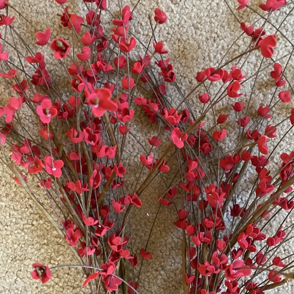 C & B Red Floral